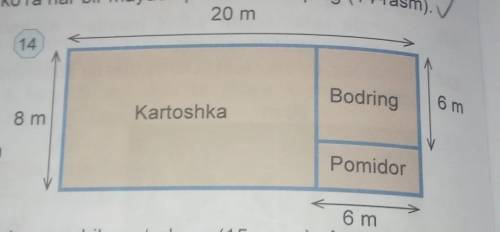 Картошка-8 м. Огурец-6 м . Помидор- 6 м.Всего -20 м.​