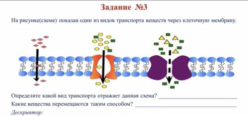 Задание No3 На рисунке(схеме) показан один из видов транспорта веществ через клеточную мембрану. Опр