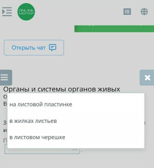 Заверши предложение, выбрав словосочетания из выпадающего списка.​