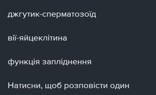 Напишiть 5 прикладiв клітин людини або тварин, які містять джутики або вiйки.