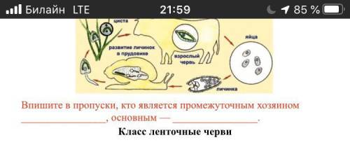 ОЧЕНЬ НУЖНО НАПИШИТЕ ОТВЕТ ЗА 5 МИНУТ ПРО СОСАЛЬЩИК КТО НЕ НАПИШЕТ ОБИЖУСЬ