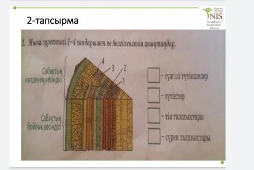 Мына суреттегі 1-4 сандарымен не белгіленгенін анықтаңдар. ​