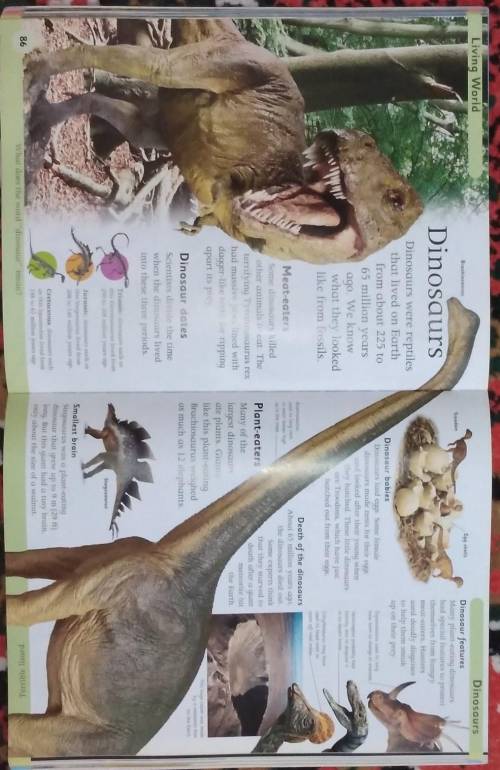 Напишите сочинение на тему <Living World and Dinosaurs>Используя эти слова в книге! ​