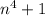 {n}^{4} + 1