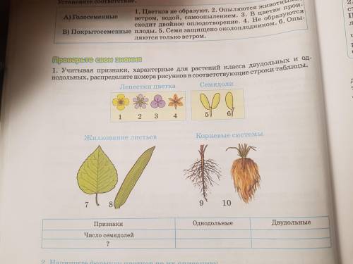 Ребата с таблицей очень