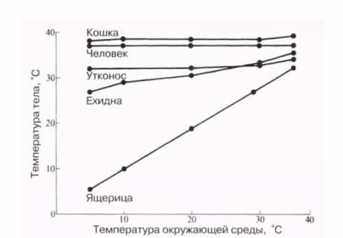 На этом графике показаны как температура тела некоторых животных зависит от температуры окружающей и