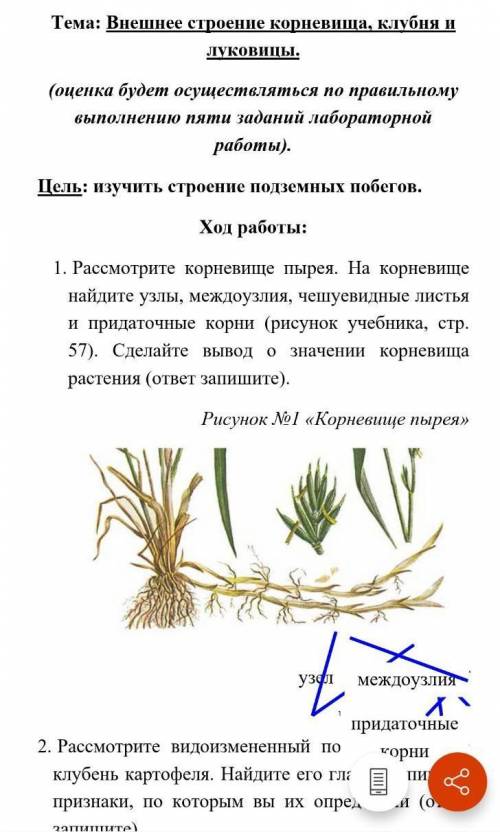 с лабораторные работы по биологии 6 класс ( там ещё вторая часть сейчас выложу ✌️✌️✌️)​