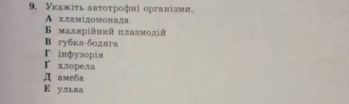 Укажіть афтотрофні організми​