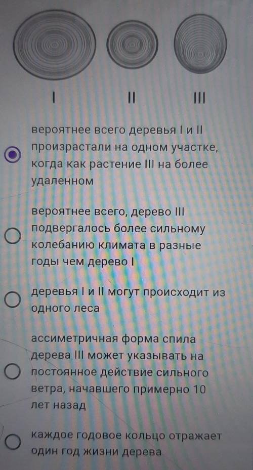 Три представителя одного вида хвойного растения были спиленыодновременно на одной и той жевысоте спи