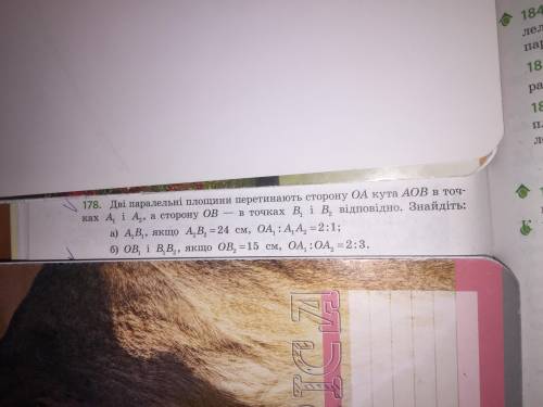 дві паралельні площини перетинають сторону ОА кута АОВ в точках А1 і А2 , а сторону ОВ - в точках В1