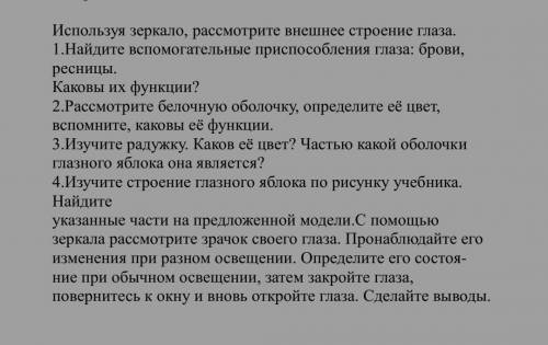 Лобараторная работа #4 Изучение строения и работы органа зрения