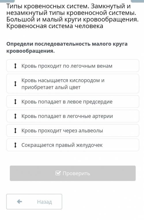 Определи последовательность малого круга кровообращения. Кровь проходит по легочным венамКровь насыщ