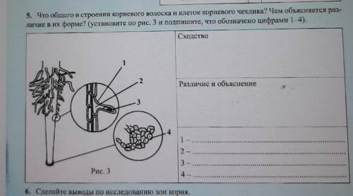 Здравствуйте по биологии Очень надо​