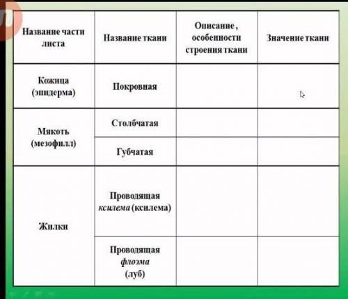 Название части Название тканилистаОписание,особенностистроения тканиЗначение тканиКожица(эпидерма)По