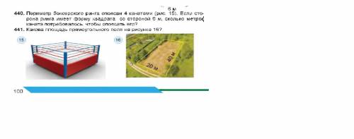 Периметр боксерского ринга опоясан 4 канатами (рис. 15). Если сторона ринга имеет форму квадрата со