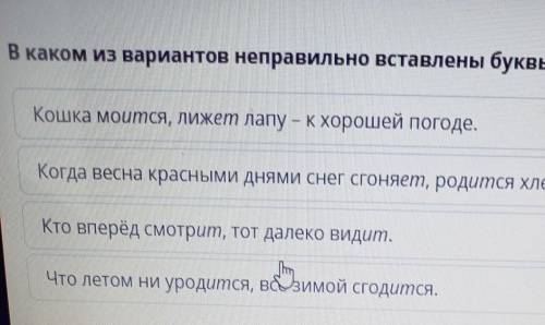 В каком из вариантов неправильно вставлены буквы в окончаниях глаголов? Кошка моится, лижет лапу - к