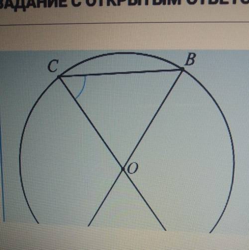 Отрезки AB и CD- диаметры окружности.Докажите ,что угол ADC=углу BCD нужно ​