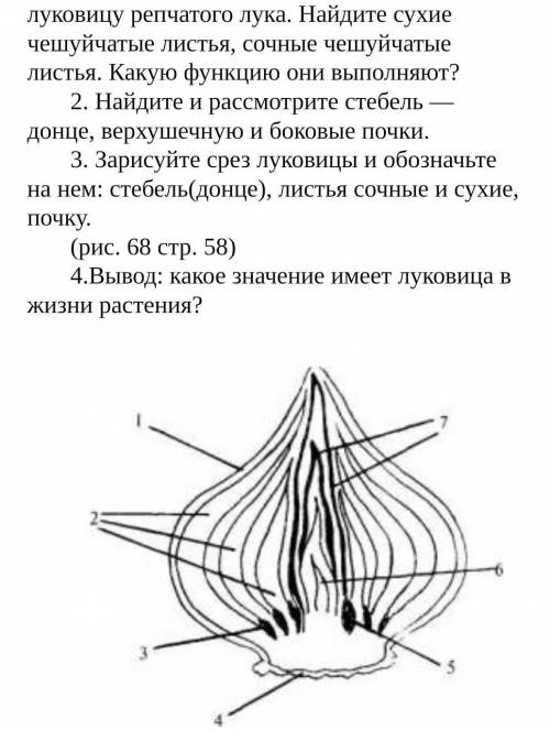 Подписать под цифрам​