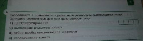 Расположите в правильном порядке этапы диагностики развивающегося плода точка Запишите соответствующ