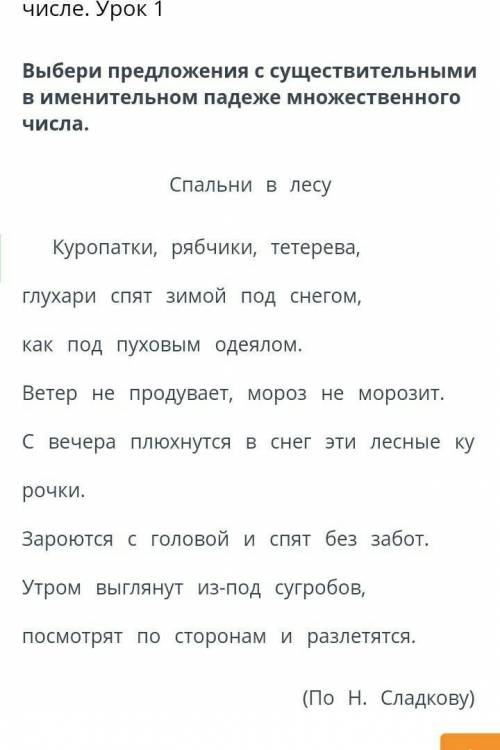 Выбери предложения с существительными в именительном падеже множественного числа. Спальни в лесуКуро