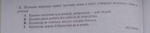 Шляхом переходу однієї частини мови в іншу утворено виділено слово в реченні