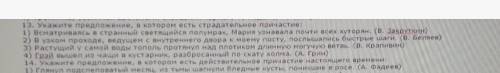 Укажите предложение, в котором есть страдательное причастие​