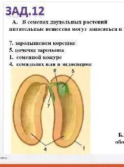 Очень щас просто К/Р быстрее, кто ответит ещё дам ​