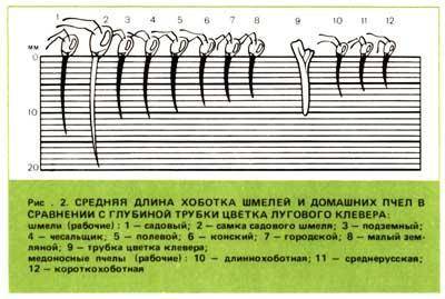 Рассмотрите рисунок. какие выводы и предположения можно сделать на основании анализа изображения?