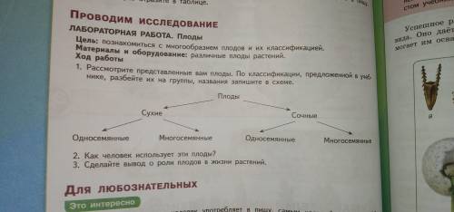 Лабораторная работа.Плоды. Задания:1,2,3.