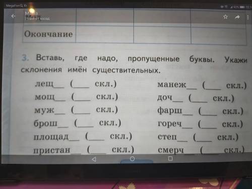 Вставьте, где ножа, пропущенные буквы. Укажите склонения имен существительных