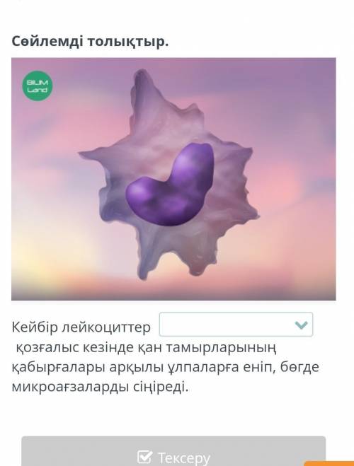 Сроно керек болып тұр​