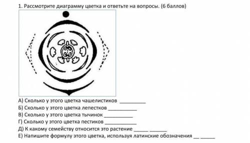 1. Рассмотрите диаграмму цветка и ответьте на вопросы. ( ) А) Сколько у этого цветка чашелистиков Б)