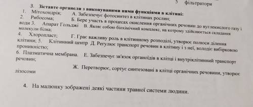 До ть будь ласка... мені на завтра