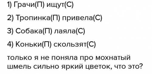 Грачи ищут на полях червей Мохнатый шмель сел на яркий цветок Лесная тропинка привела нас на красиву