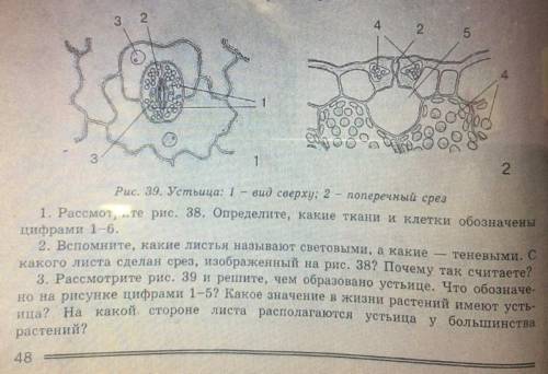 ответьте только на 3ий вопрос