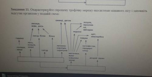 Завдання 11. Охарактеризуйте спрощену трофічну мережу екосистеми мішаного лісу і заповніть відсутні