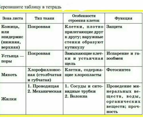 Переписать таблицу в тетрадь