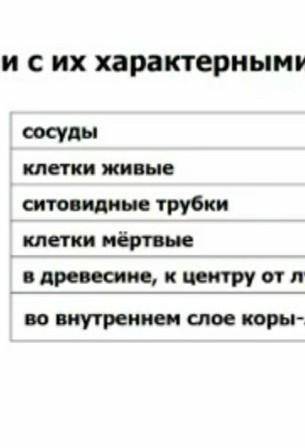 Соотнесите ткани с их характерными признаками ксилема и флоэма​БИОЛОГИЯ