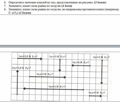 6. Определите значение каждой из сил, представленных на рисунке. 7. Запишите, какие силы равны по мо