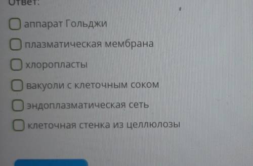 Какие из перечисленных органоидов присутствуют только в растительной клетке? ​