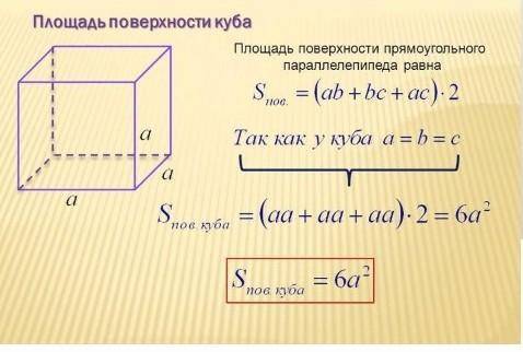 Площадь одной грани куба равна 3 см² вычислите площадь его поверхности (т.е сумму площадей всех его