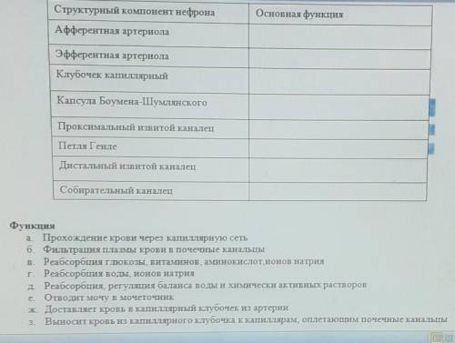 кто сделает все правильно найдет 5тыс.):^​