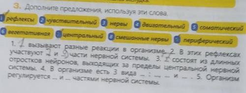 3. Дополните предложения, используя эти слова. Префлексы Очувствительный з нервы 4 двигательный 5 со