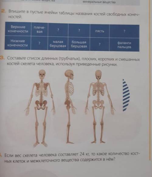 решить эти 3 задания​