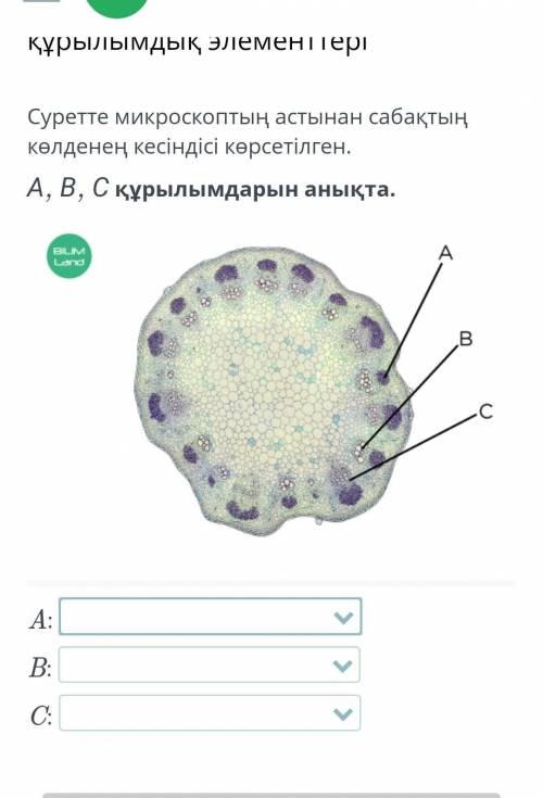 нужен биология Зайыбал жазсаңдар шщс