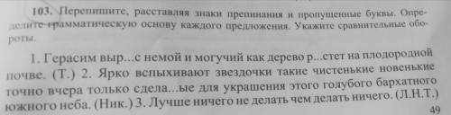 . Перепишите, расставляя знаки препинания и пропущенные буквы. Определите грамматические основу кажд