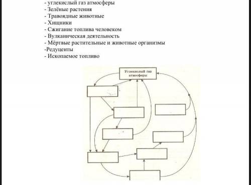 Используя материал учебника заполните прямоугольники в упрощённой схеме круговорота углерода в биосф