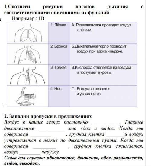 естествознания. Оба задания которые на фото. Заранее