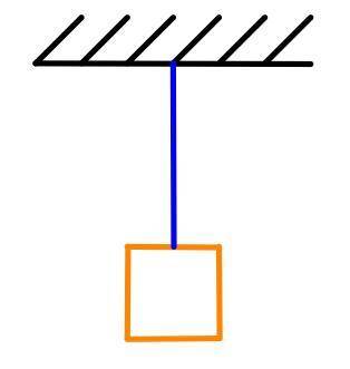 На рисунке изображено тело, подвешенное на нити. Масса тела 8 кг. Куда направлена сила натяжения нит