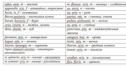 с латынью №1. Прочтите термины лексического минимума и впишите в таблицу односложные и двусложные те